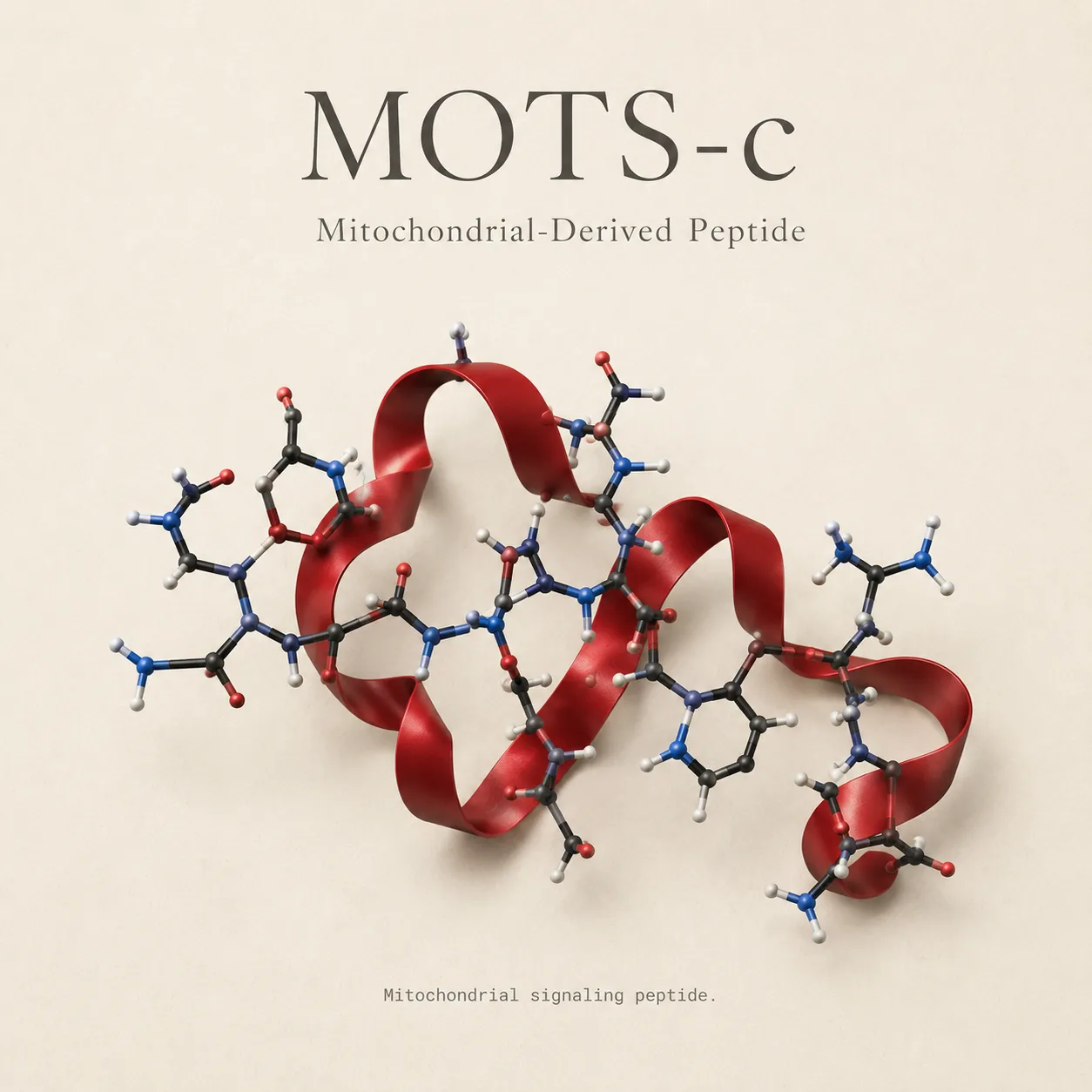 MOTS-c 10mg