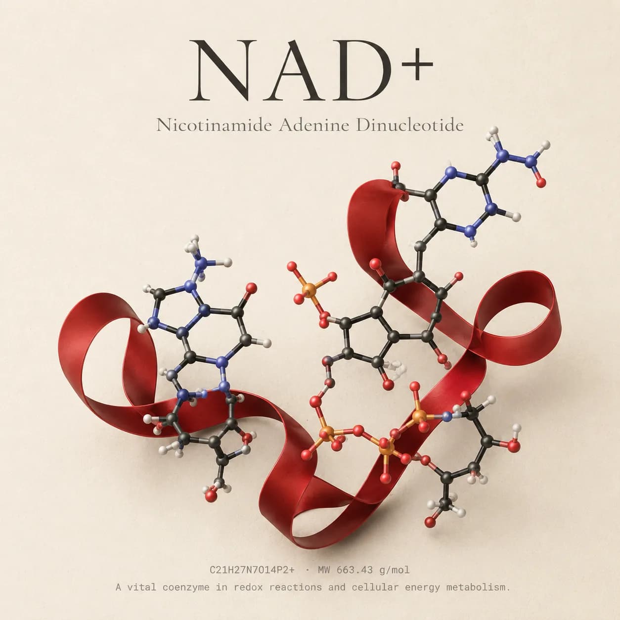NAD+ 1000mg