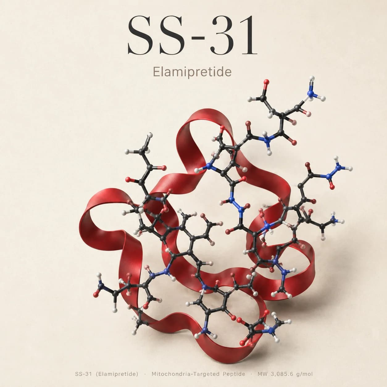 SS-31 10mg