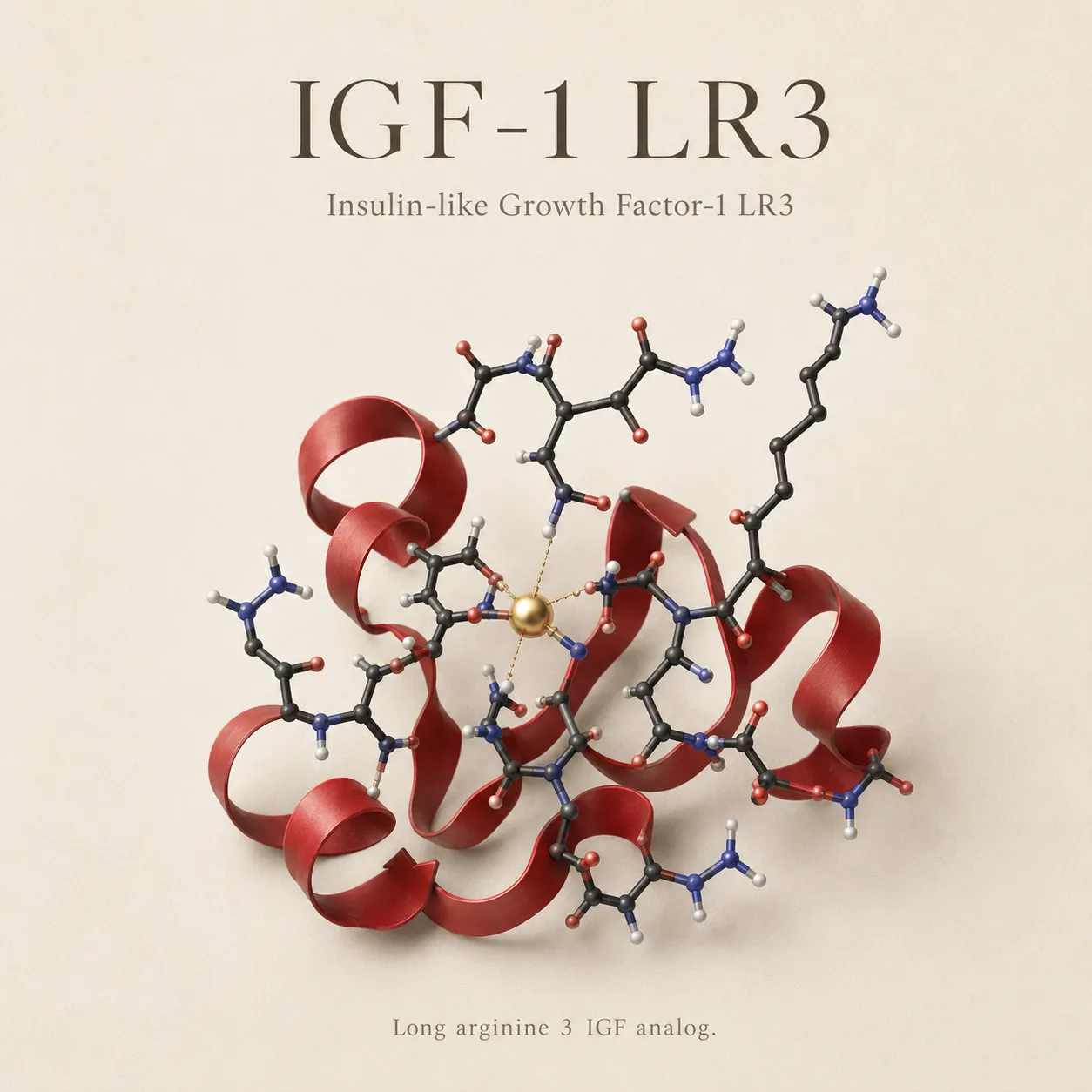 IGF-1 LR3 1mg
